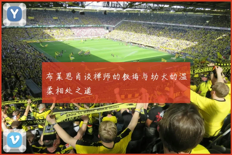 布莱恩肖谈禅师的教诲与幼犬的温柔相处之道
